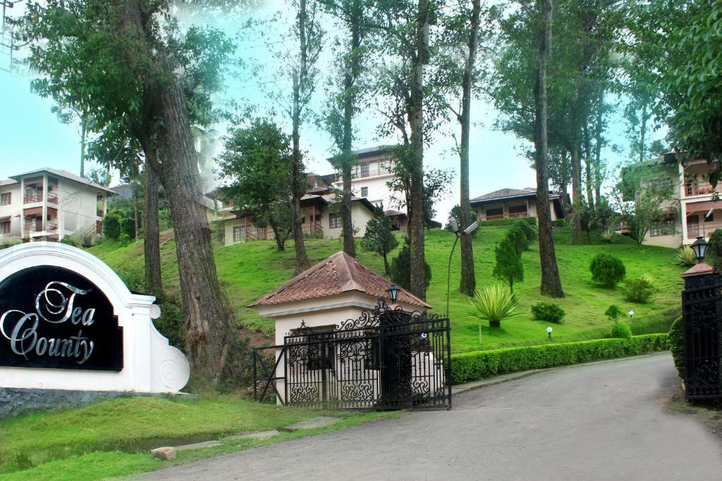 TC Munnar